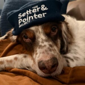 Ruff Day Fund: TSPP Large Logo Beanie