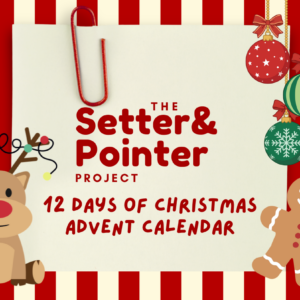 *TSPP Advent Calendar*