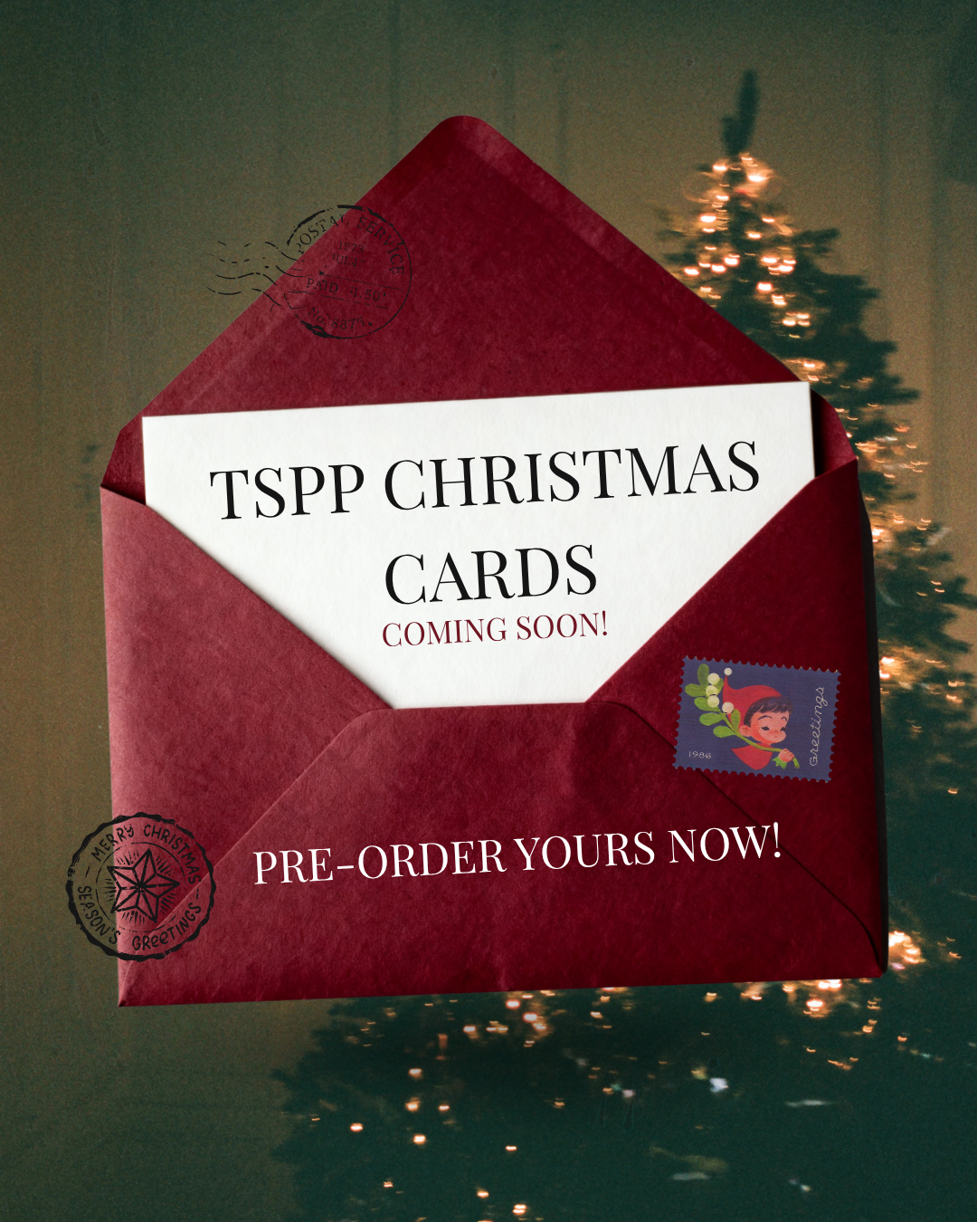 *TSPP Christmas Cards - Pack of 10*